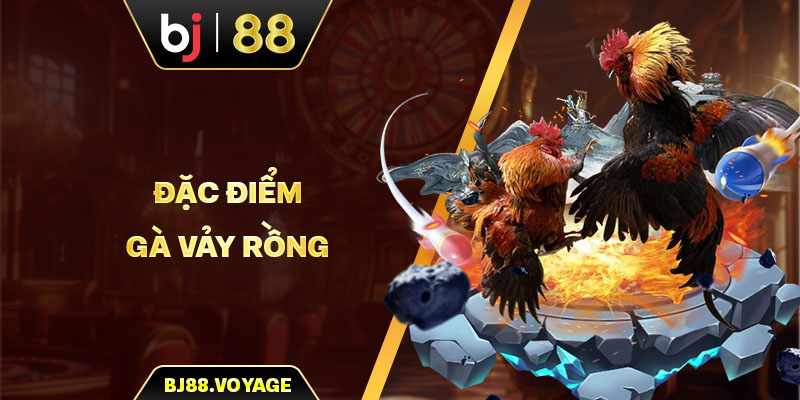 Đặc điểm giống gà vảy rồng