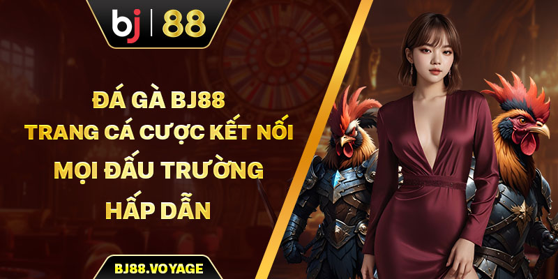 Đá Gà BJ88 - Trang Cá Cược Kết Nối Mọi Đấu Trường Hấp Dẫn