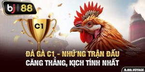 Đá Gà C1 - Những Trận Đấu Căng Thẳng, Kịch Tính Nhất