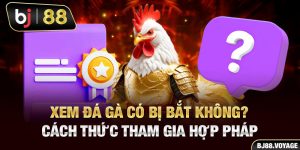 Xem Đá Gà Có Bị Bắt Không? Cách Thức Tham Gia Hợp Pháp