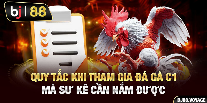 Quy tắc khi tham gia đá gà C1 mà sư kê cần nắm được