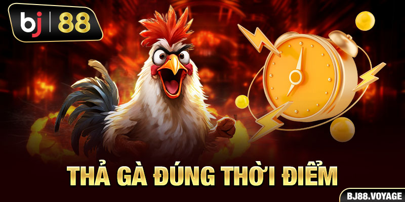 Thả gà đúng thời điểm